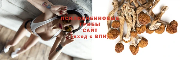 a pvp Белоозёрский