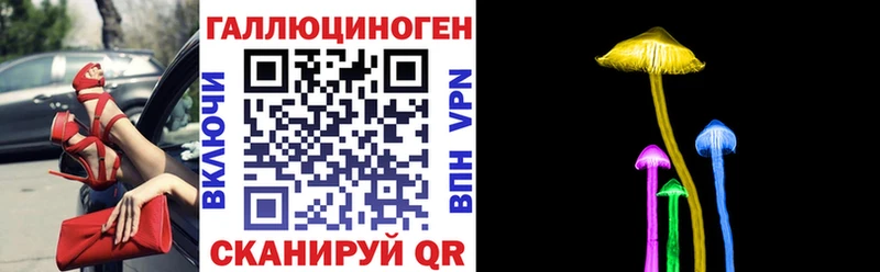 Псилоцибиновые грибы прущие грибы  сайты даркнета какой сайт  Новая Усмань 